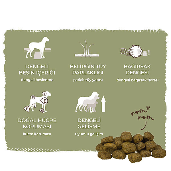 Bosch Yetişkin Kümes Hayvanlı ve Darılı Köpek Maması 15 kg - 7