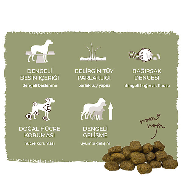 Bosch Yetişkin Kümes Hayvanlı ve Darılı Köpek Maması 15 kg - 7