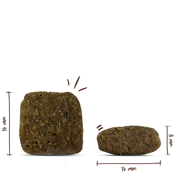 Bosch Yetişkin Kümes Hayvanlı ve Darılı Köpek Maması 15 kg - 2