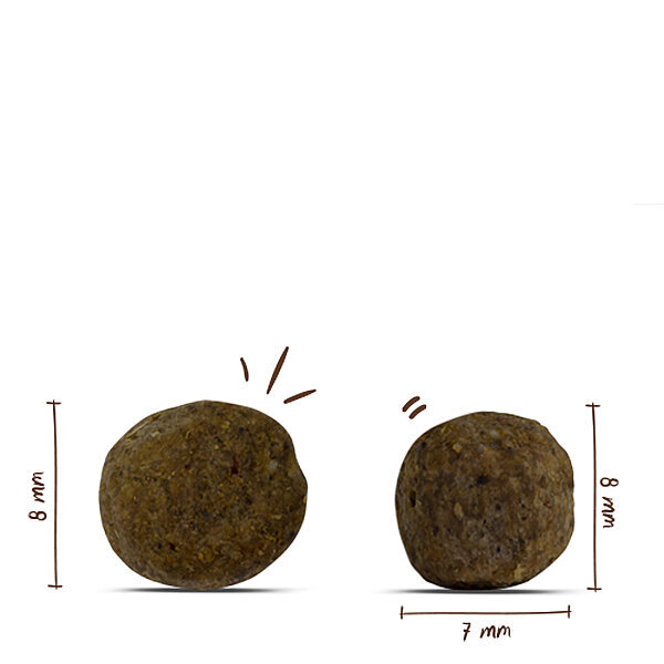Bosch Mini Irk Kümes Hayvanlı ve Darılı Köpek Maması 3 kg - 2