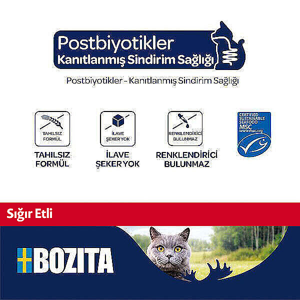 Bozita Sığır Etli Mousse Yaş Kedi Maması 85 g - 2