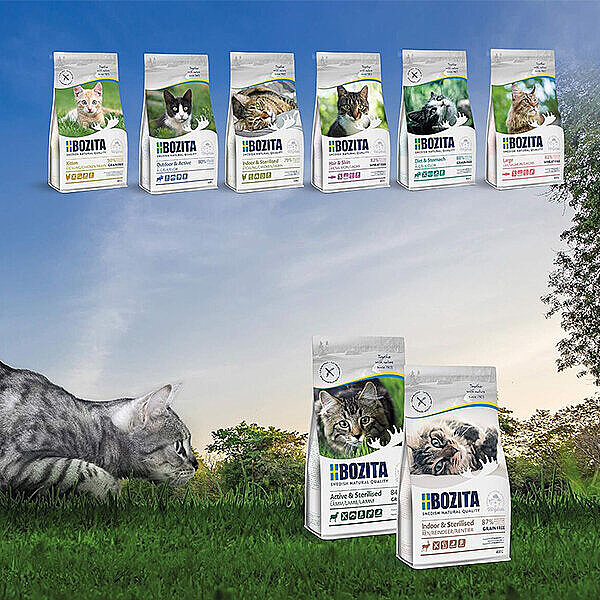 Bozita Hair Skin Tüy Sağlığı Destekleyici Tahılsız Somonlu Kedi Maması 10 KG - 4