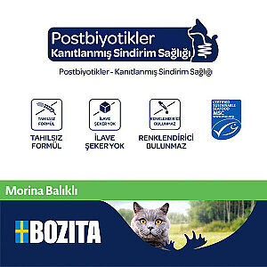 Bozita Morina Balıklı Mousse Yaş Kedi Maması 85 g - 2