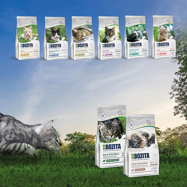 Bozita İndoor  Sterilised Kısırlaştırılmış Tahılsız Geyik Etli Kedi Maması 2 Kg - 3