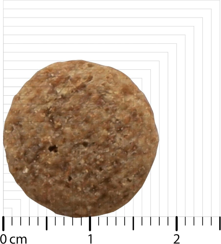 Bozita Original Adult Classic Köpek Maması 12 kg - 6