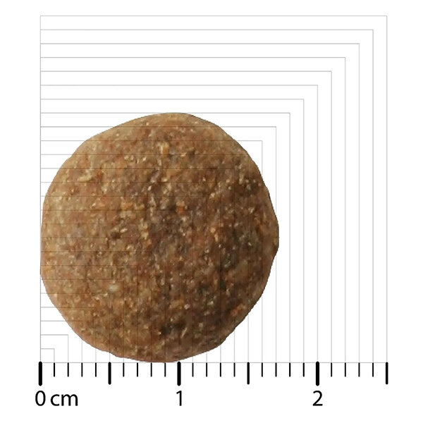 Bozita Original Adult Flavour Plus Geyik Etli Köpek Maması 12 KG - 2