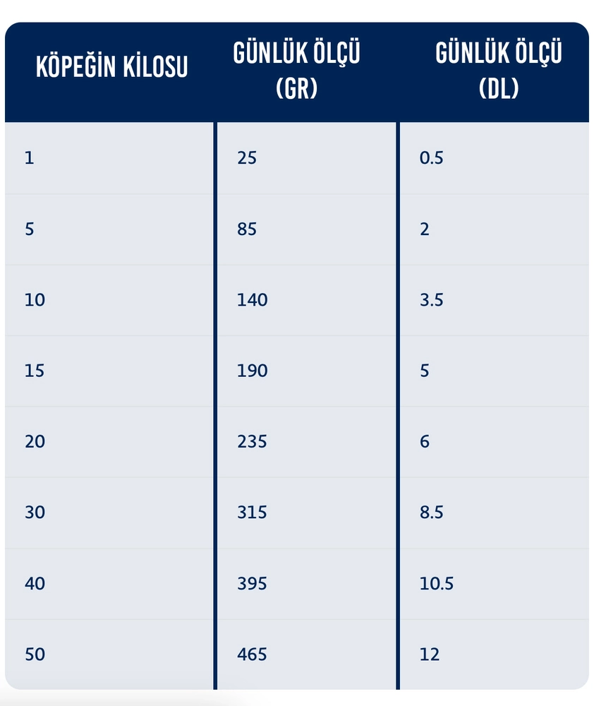 Bozita Original Adult Sensitive Skin&Coat Somonlu Köpek Maması 12 kg - 2