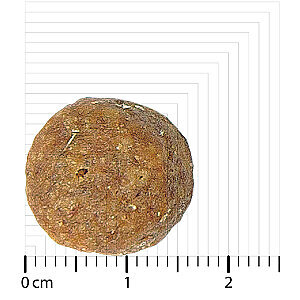 Bozita Original Adult Sensitive Skin&Coat Somonlu Köpek Maması 12 kg - 2