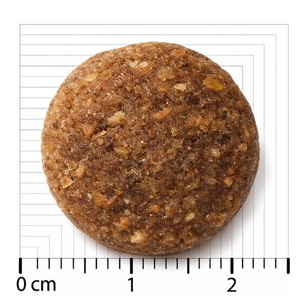 Bozita Original Adult XL Tahılsız Kuzu Etli Köpek Maması 12 kg - 3