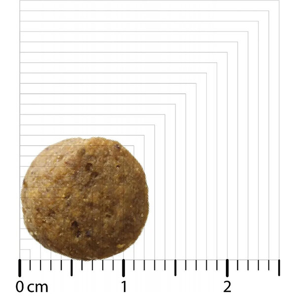 Bozita Original Büyük Irk Yavru Köpek Maması Kuzulu 12 kg - 2