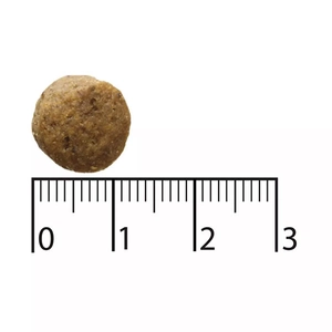 Bozita Purely Elk Geyik Etli Tahılsız Büyük Irk Yavru Köpek Maması 11 Kg - 2