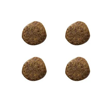 Bozita Ren Geyikli Tahılsız Köpek Maması 12,5 KG - 2