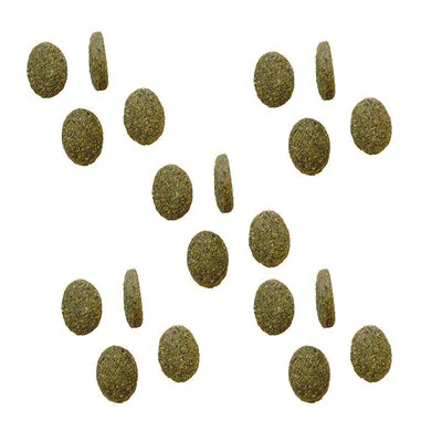 Bozita Robur Sensitive Single Protein Kuzu Etli Köpek Maması 12.5 KG - 2