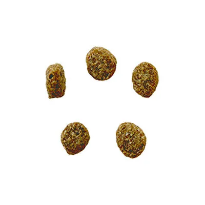 Bozita Tahılsız Geyikli Anne ve Yavru Köpek Maması 12 KG - 2