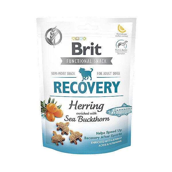 Brit Care Brit Recovery Ringa Balıklı Köpek Ödülü 150gr