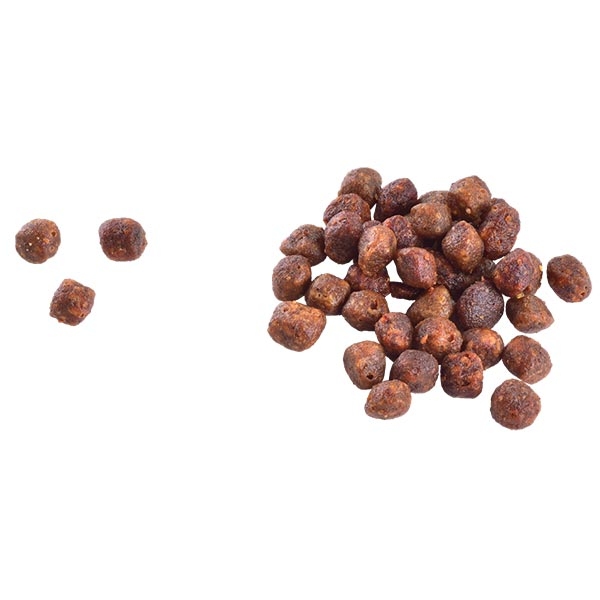 Brit Care Hipoalerjenik Tavuklu ve Hindili Tahılsız Yavru Kedi Maması 7 kg - 2