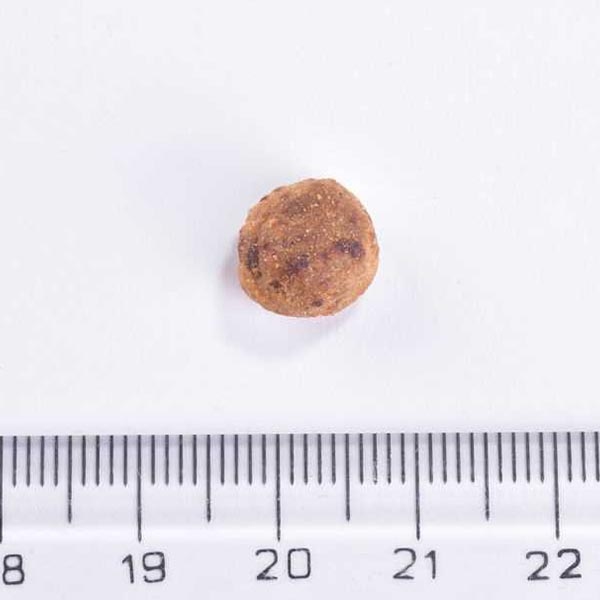 Brit Care Immunity Domuz Etli Tahılsız Kısırlaştırılmış Yetişkin Kedi Maması 2 kg - 2