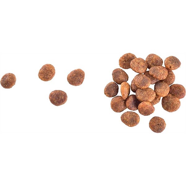 Brit Care Hipoalerjenik Hindi Etli ve Somonlu Tahılsız Yetişkin Kedi Maması 2 kg - 2