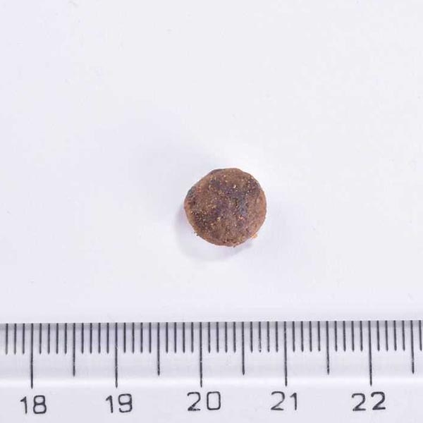 Brit Care Sensitive Ringa Balıklı Tahılsız Yetişkin Kedi Maması 7 kg - 2