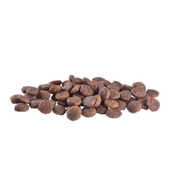Brit Care Mini Yorkshire Somonlu Tahılsız Yetişkin Köpek Maması 2 kg - 2