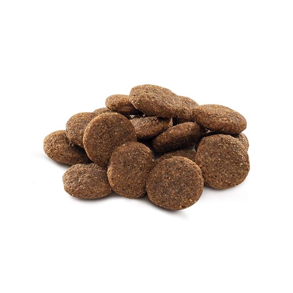 Brit Premium Nature Tavuklu Büyük Irk Yetişkin Köpek Maması 15 kg - 2