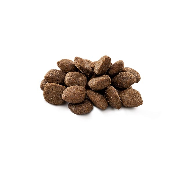 Brit Premium Nature Sensitive Kuzu Etli Yetişkin Köpek Maması 8 kg - 2