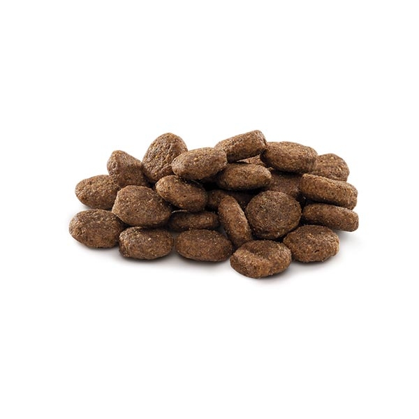 Brit Premium Nature Tavuklu Büyük Irk Yavru Köpek Maması 15 kg