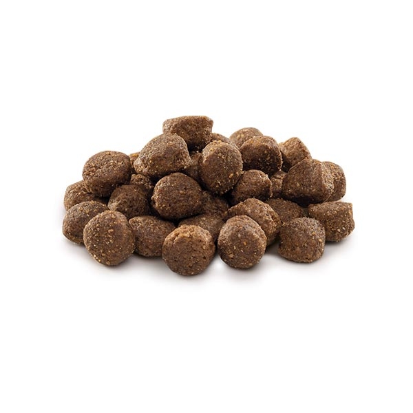 Brit Premium Nature Tavuklu Orta Irk Yetişkin Köpek Maması 15 kg - 2