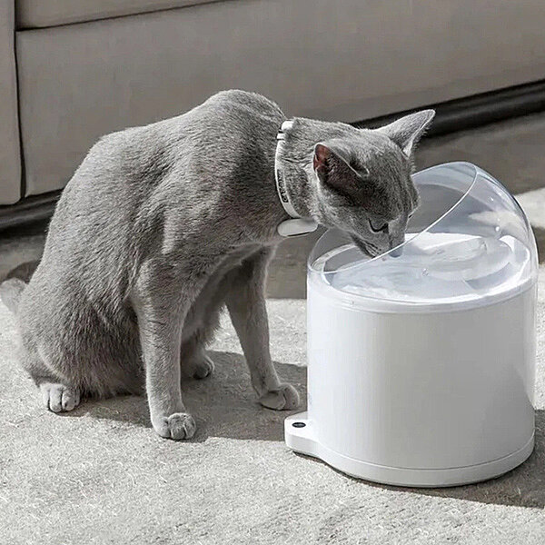 Catlink Pure 2 UV Kedi ve Köpek Su Pınarı 2,6 L - 4
