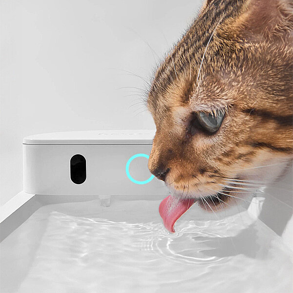 Catlink Pure 3 Yapay Zekâ Destekli Kablosuz Kedi ve Köpek Su Pınarı 2,3 L - 5