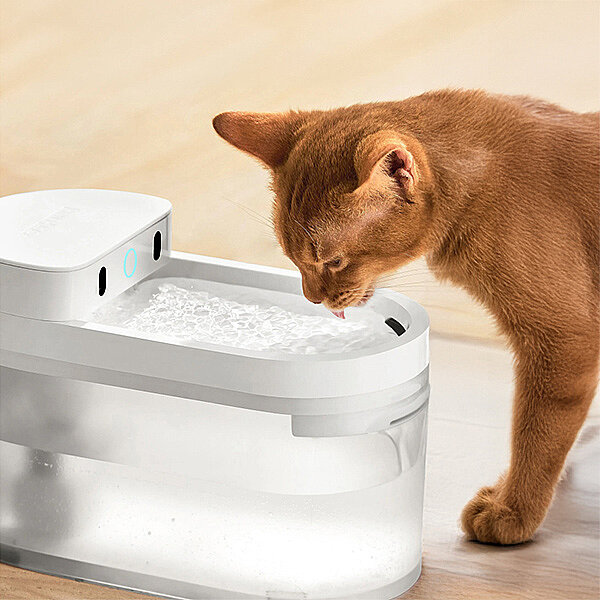 Catlink Pure 3 Yapay Zekâ Destekli Kablosuz Kedi ve Köpek Su Pınarı 2,3 L - 4