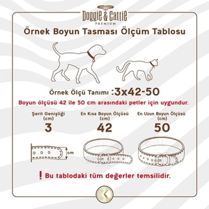 Cattie Güvenlik Tokalı Kedi Boyun Tasması Turuncu 1X15-25Cm - 3