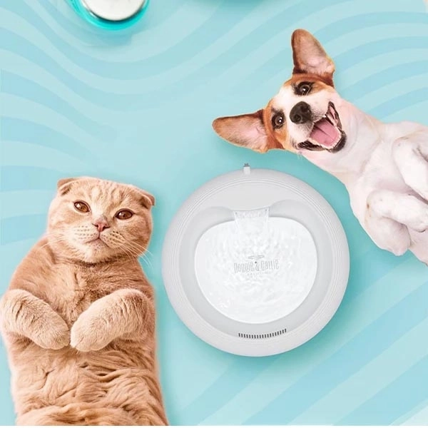 Cattie Su Pınarı Klasik Model Antrasit - 3