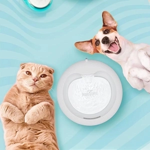 Cattie Su Pınarı Klasik Model Nane - 3