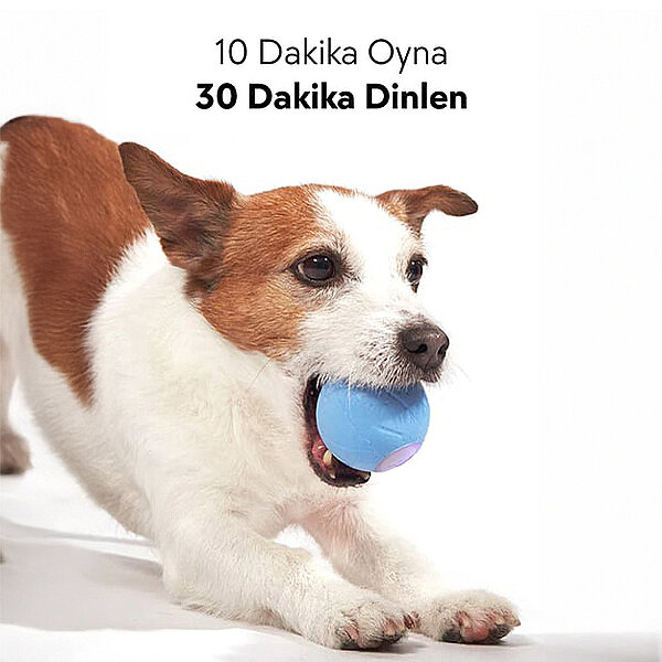 Cheerble Şarjlı İnteraktif Köpek Oyuncak Topu 5,5 cm (Kırmızı) [S] - 2