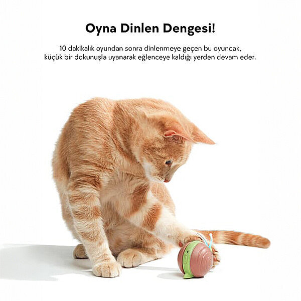 Cheerble Şarjlı İnteraktif Salyangoz Kedi Oyuncağı 7 x 5 x 5,8 cm (Kahverengi) - 2