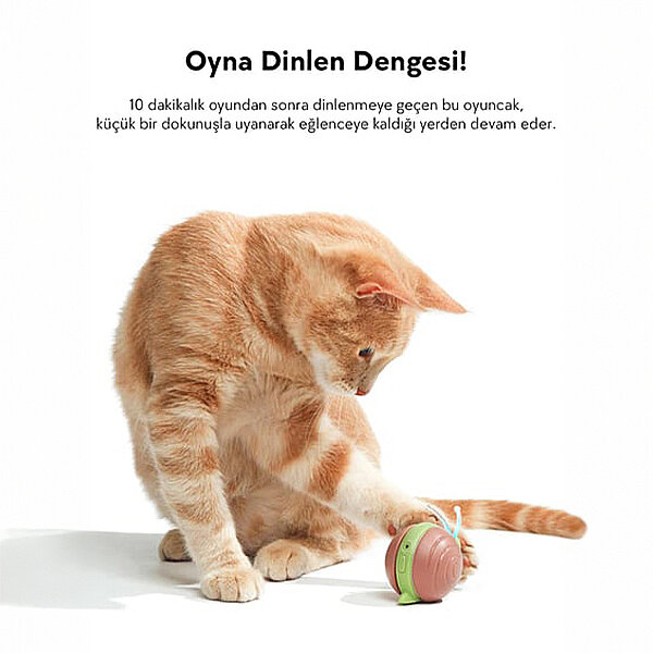 Cheerble Şarjlı İnteraktif Salyangoz Kedi Oyuncağı 7 x 5 x 5,8 cm (Kahverengi) - 2