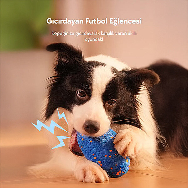 Cheerble Wicked Rugby Şarjlı İnteraktif Köpek Oyuncak Topu (Mavi) - 2