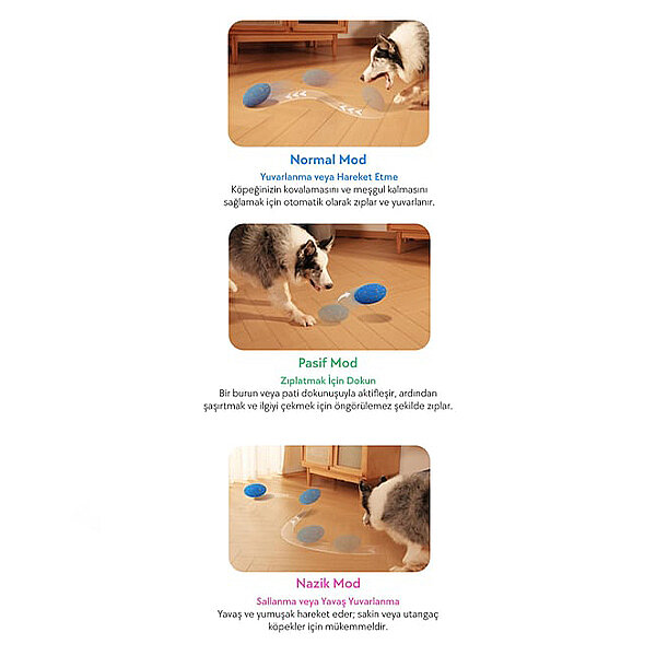 Cheerble Wicked Rugby Şarjlı İnteraktif Köpek Oyuncak Topu (Mavi) - 3