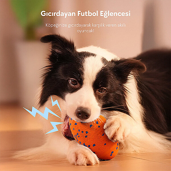 Cheerble Wicked Rugby Şarjlı İnteraktif Köpek Oyuncak Topu (Turuncu) - 2