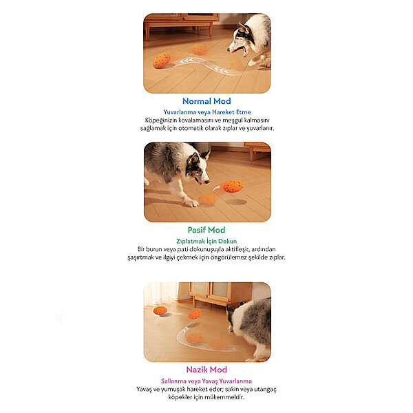 Cheerble Wicked Rugby Şarjlı İnteraktif Köpek Oyuncak Topu (Turuncu) - 3