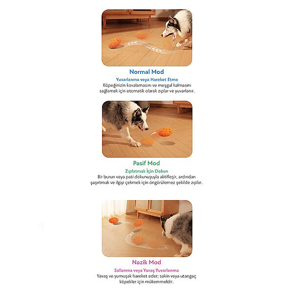 Cheerble Wicked Rugby Şarjlı İnteraktif Köpek Oyuncak Topu (Turuncu) - 3