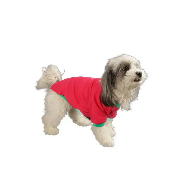 Chery Kedi & Köpek Tshirt - 1