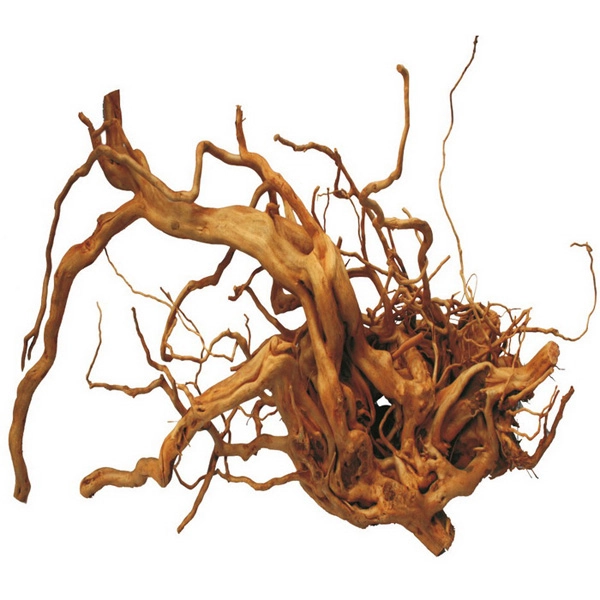 Çöl Kütüğü (Bağ) - 1