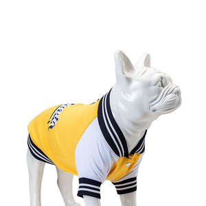 College California Sweatshirt Beden : 3 - 1