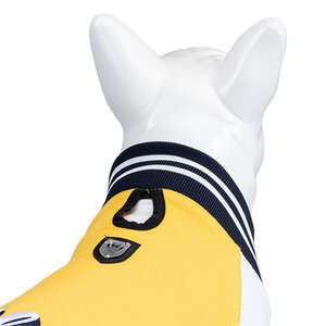 College California Sweatshirt Beden : 3 - 3