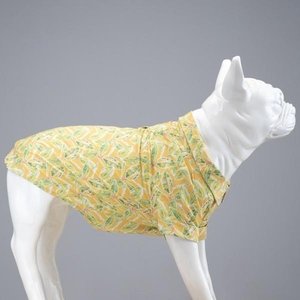 Cool Lime Köpek Gömleği Beden :6