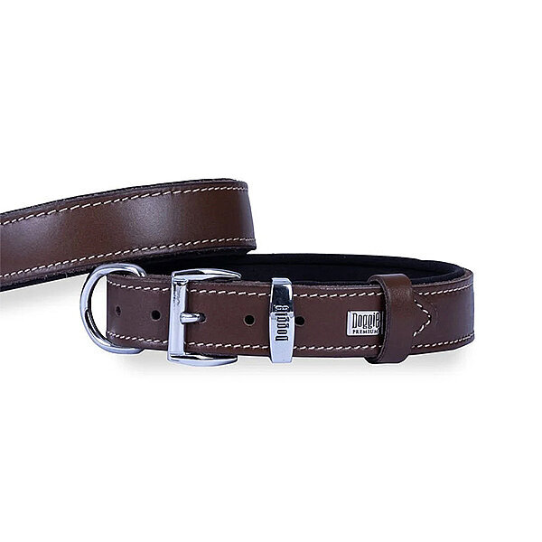 Doggie Deri Köpek Tasması 2.5x37-45cm (Kahve) - 2