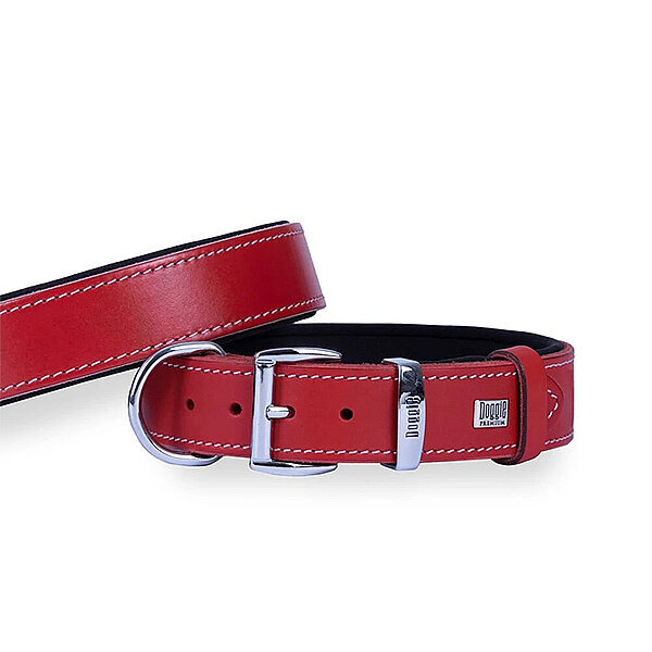 Doggie Deri Köpek Tasması 3.5x47-55cm (Kırmızı) - 2