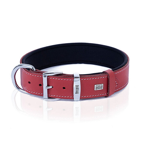 Doggie Deri Köpek Tasması 3.5x52-60cm (Kırmızı) - 1